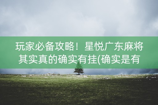 玩家必备攻略！星悦广东麻将其实真的确实有挂(确实是有挂)