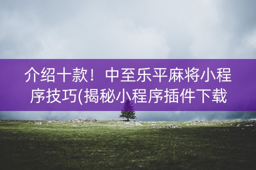介绍十款！中至乐平麻将小程序技巧(揭秘小程序插件下载)