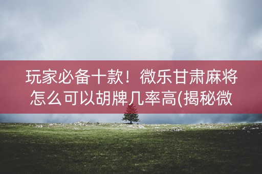 玩家必备十款！微乐甘肃麻将怎么可以胡牌几率高(揭秘微信里必备神器)
