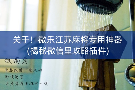 关于！微乐江苏麻将专用神器(揭秘微信里攻略插件)