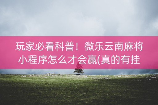 玩家必看科普！微乐云南麻将小程序怎么才会赢(真的有挂)