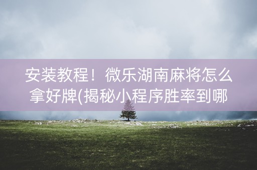 安装教程！微乐湖南麻将怎么拿好牌(揭秘小程序胜率到哪调)