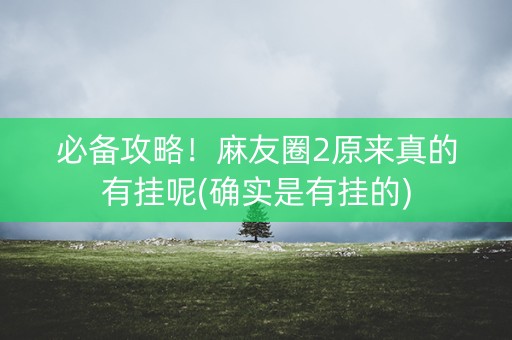 必备攻略！麻友圈2原来真的有挂呢(确实是有挂的)