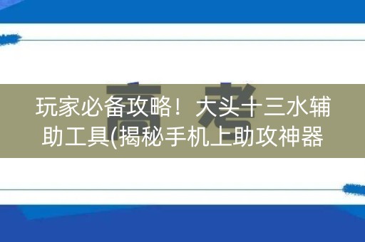 玩家必备攻略！大头十三水辅助工具(揭秘手机上助攻神器)