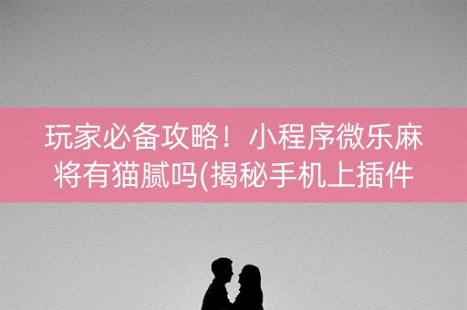 玩家必备攻略！小程序微乐麻将有猫腻吗(揭秘手机上插件下载)