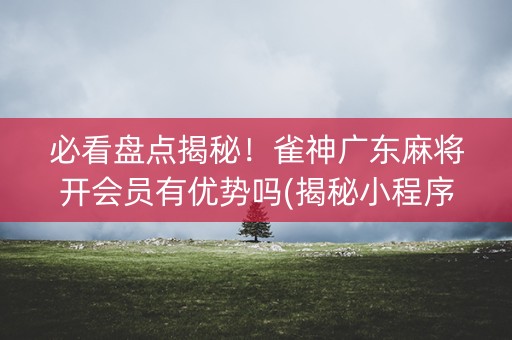 必看盘点揭秘！雀神广东麻将开会员有优势吗(揭秘小程序怎么容易赢)