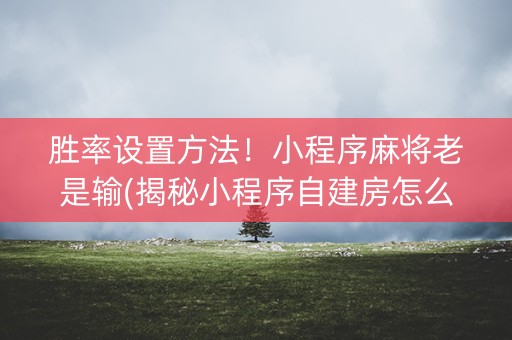 胜率设置方法！小程序麻将老是输(揭秘小程序自建房怎么赢)