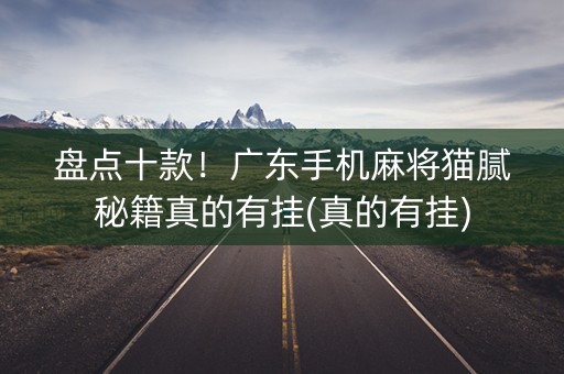 盘点十款！广东手机麻将猫腻秘籍真的有挂(真的有挂)