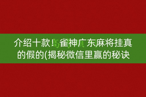 介绍十款！雀神广东麻将挂真的假的(揭秘微信里赢的秘诀)
