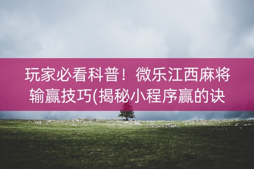 玩家必看科普！微乐江西麻将输赢技巧(揭秘小程序赢的诀窍)