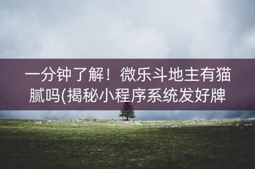 一分钟了解！微乐斗地主有猫腻吗(揭秘小程序系统发好牌)