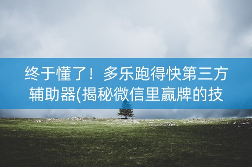 终于懂了！多乐跑得快第三方辅助器(揭秘微信里赢牌的技巧)