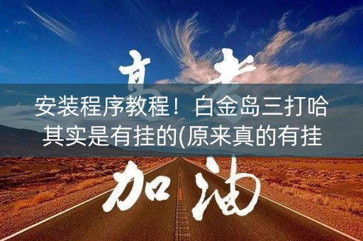 安装程序教程！白金岛三打哈其实是有挂的(原来真的有挂)