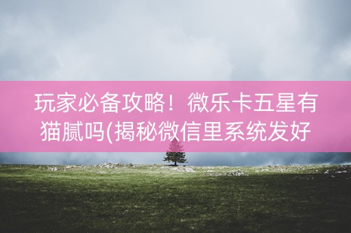 玩家必备攻略！微乐卡五星有猫腻吗(揭秘微信里系统发好牌)