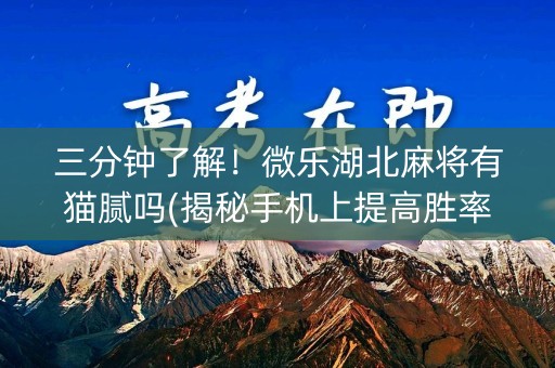 三分钟了解！微乐湖北麻将有猫腻吗(揭秘手机上提高胜率)