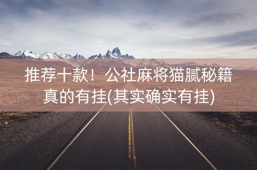 推荐十款！公社麻将猫腻秘籍真的有挂(其实确实有挂)