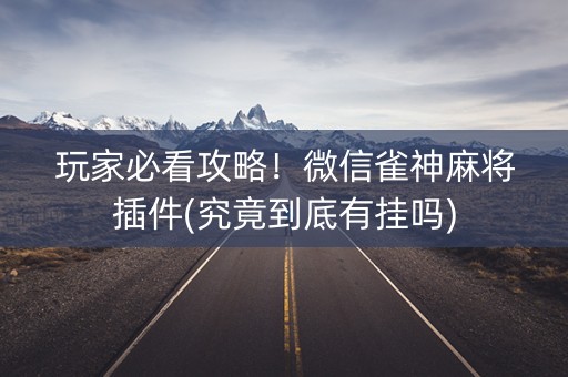 玩家必看攻略！微信雀神麻将插件(究竟到底有挂吗)