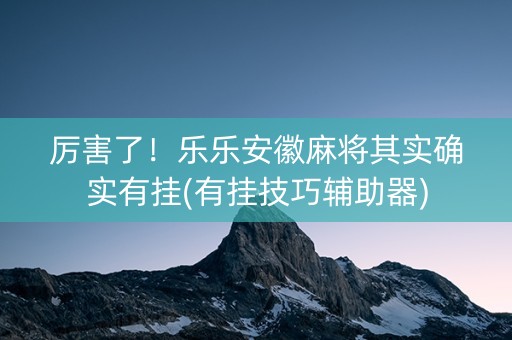 厉害了！乐乐安徽麻将其实确实有挂(有挂技巧辅助器)