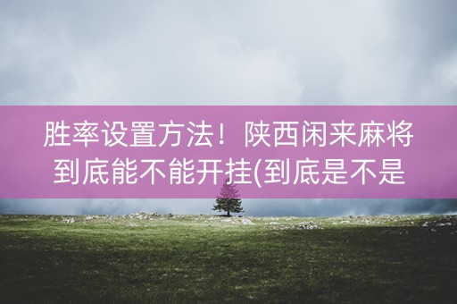 胜率设置方法！陕西闲来麻将到底能不能开挂(到底是不是有挂)