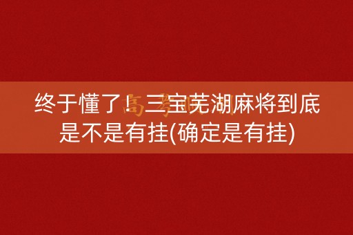 终于懂了！三宝芜湖麻将到底是不是有挂(确定是有挂)