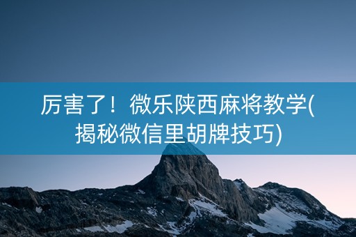 厉害了！微乐陕西麻将教学(揭秘微信里胡牌技巧)