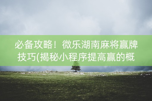 必备攻略！微乐湖南麻将赢牌技巧(揭秘小程序提高赢的概率)