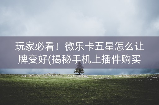 玩家必看！微乐卡五星怎么让牌变好(揭秘手机上插件购买)