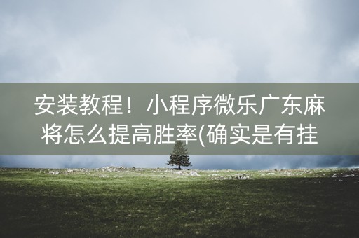 安装教程！小程序微乐广东麻将怎么提高胜率(确实是有挂)