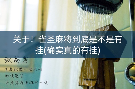 关于！雀圣麻将到底是不是有挂(确实真的有挂)