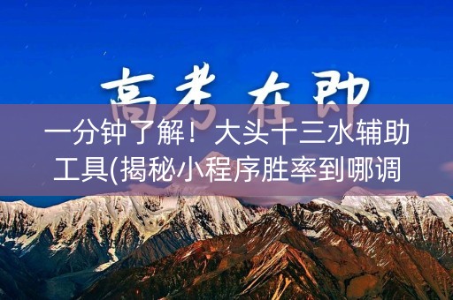 一分钟了解！大头十三水辅助工具(揭秘小程序胜率到哪调)