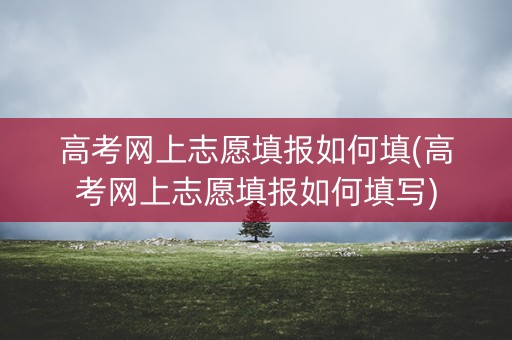 高考网上志愿填报如何填(高考网上志愿填报如何填写)