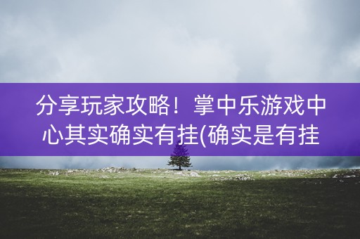 分享玩家攻略！掌中乐游戏中心其实确实有挂(确实是有挂)