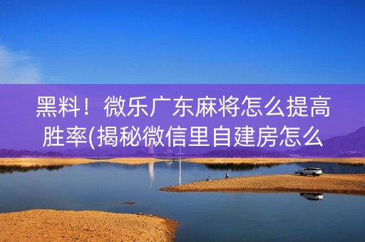 黑料！微乐广东麻将怎么提高胜率(揭秘微信里自建房怎么赢)