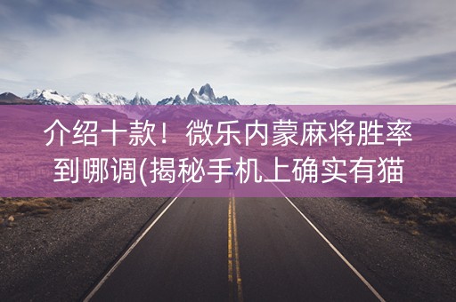 介绍十款！微乐内蒙麻将胜率到哪调(揭秘手机上确实有猫腻)