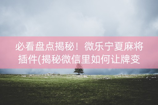 必看盘点揭秘！微乐宁夏麻将插件(揭秘微信里如何让牌变好)