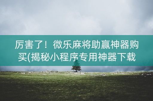 厉害了！微乐麻将助赢神器购买(揭秘小程序专用神器下载)