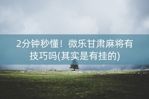 2分钟秒懂！微乐甘肃麻将有技巧吗(其实是有挂的)