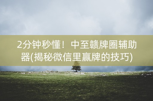2分钟秒懂！中至赣牌圈辅助器(揭秘微信里赢牌的技巧)