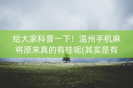 给大家科普一下！温州手机麻将原来真的有挂呢(其实是有挂确实有挂)