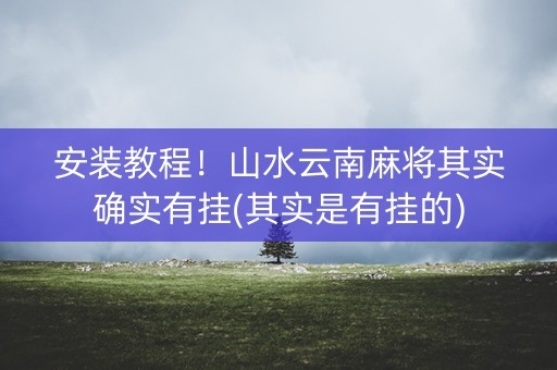 安装教程！山水云南麻将其实确实有挂(其实是有挂的)