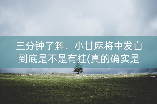 三分钟了解！小甘麻将中发白到底是不是有挂(真的确实是有挂)