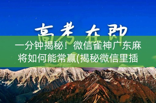 一分钟揭秘！微信雀神广东麻将如何能常赢(揭秘微信里插件购买)