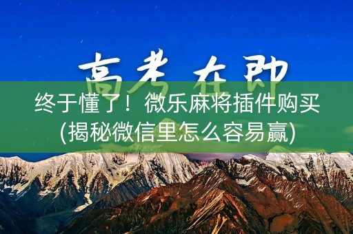 终于懂了！微乐麻将插件购买(揭秘微信里怎么容易赢)