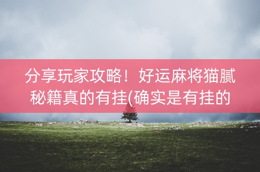 分享玩家攻略！好运麻将猫腻秘籍真的有挂(确实是有挂的)