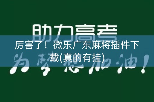 厉害了！微乐广东麻将插件下载(真的有挂)