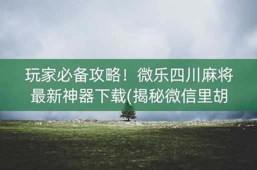 玩家必备攻略！微乐四川麻将最新神器下载(揭秘微信里胡牌技巧)
