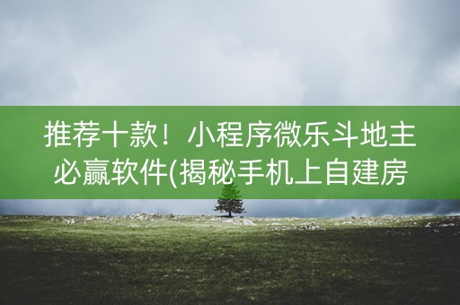 推荐十款！小程序微乐斗地主必赢软件(揭秘手机上自建房怎么赢)