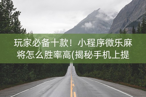 玩家必备十款！小程序微乐麻将怎么胜率高(揭秘手机上提高胜率)