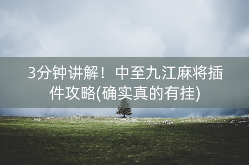 3分钟讲解！中至九江麻将插件攻略(确实真的有挂)