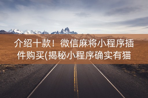 介绍十款！微信麻将小程序插件购买(揭秘小程序确实有猫腻)